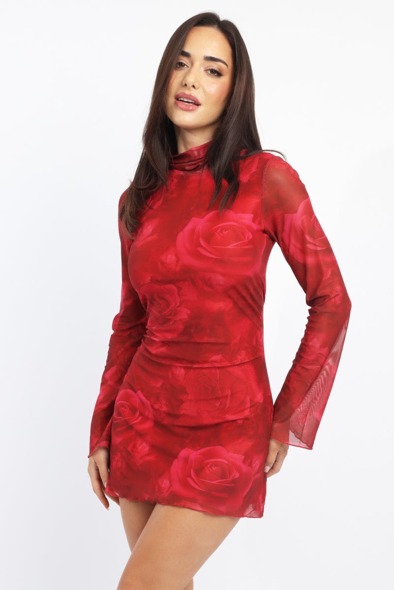 Red Floral Mini Dress High Neck Long Sleeve Mesh | Ally Fashion Red Floral Mini Dress High Neck Long Sleeve Mesh | Ally Fashion