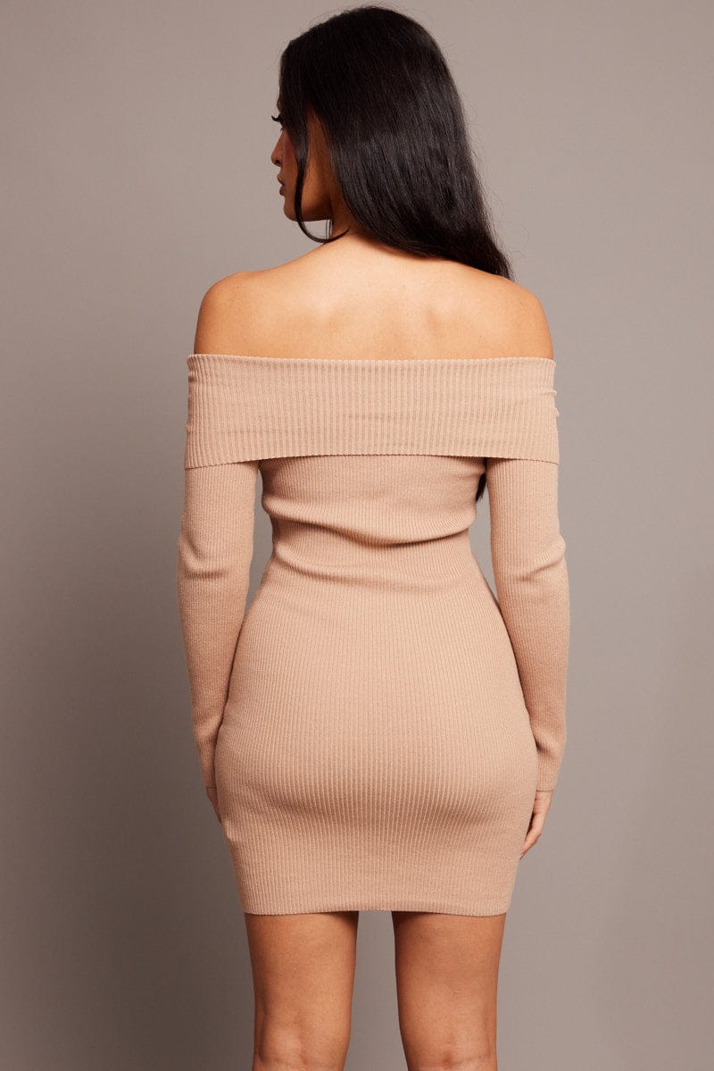 Beige Knit Dress Long Sleeve Mini for Ally Fashion