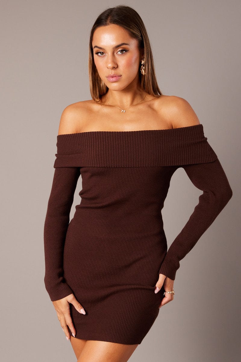 Brown Knit Dress Long Sleeve Mini for Ally Fashion