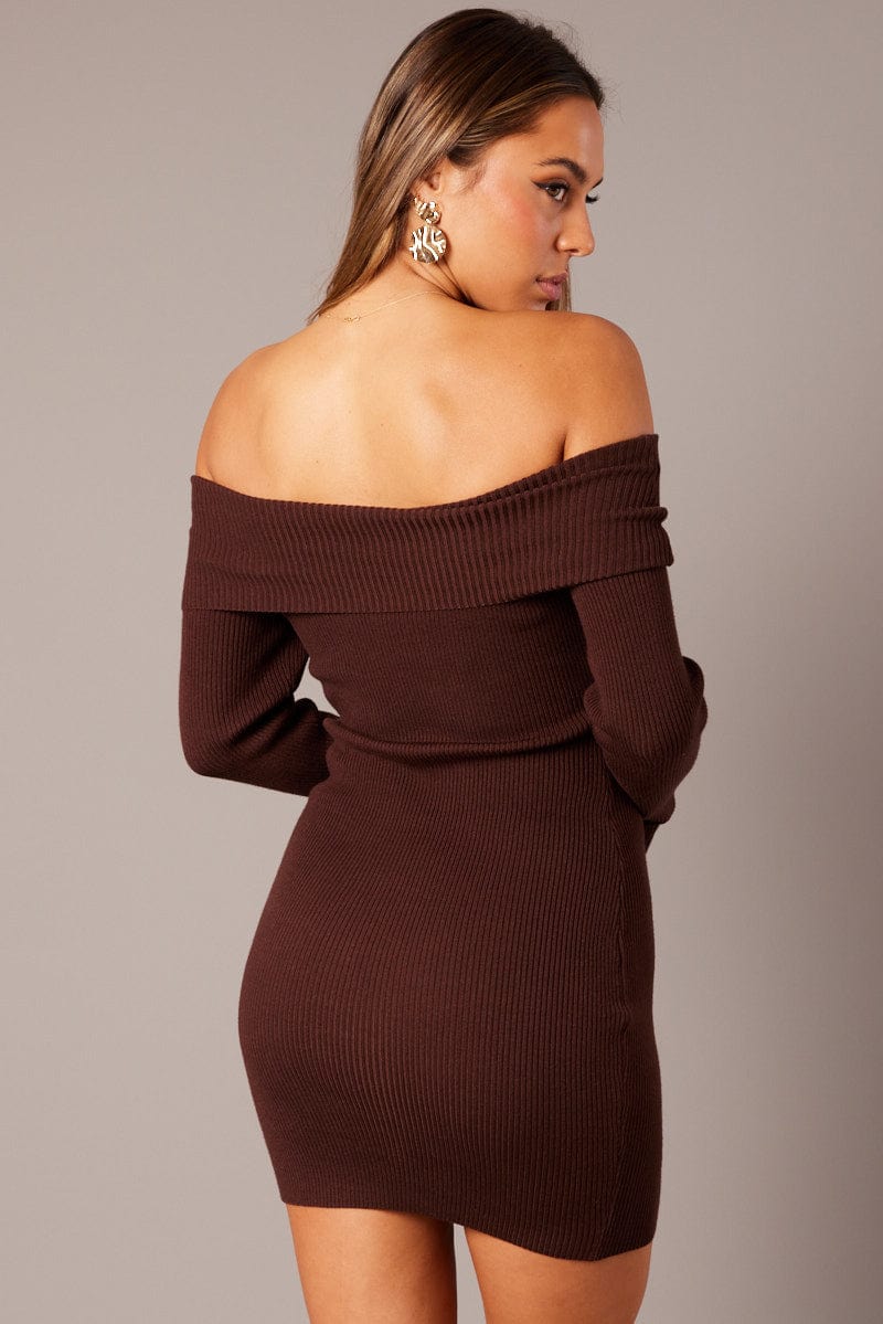 Brown Knit Dress Long Sleeve Mini for Ally Fashion