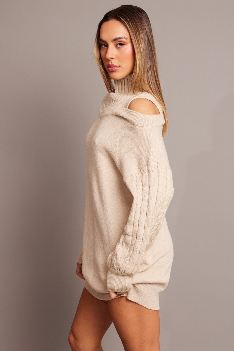 Beige Knit Dress High Neck Jumper Mini for Ally Fashion