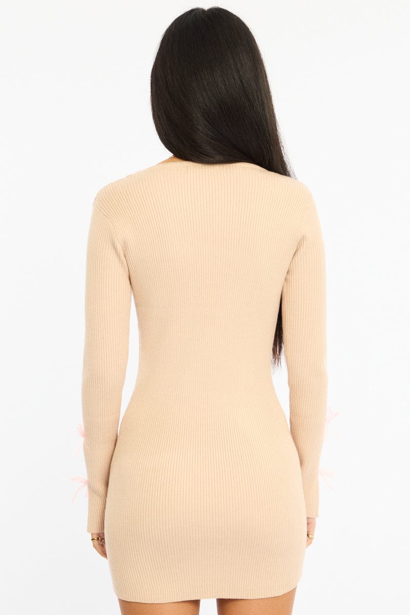 Beige Knit Dress Long Sleeve Mini for Ally Fashion