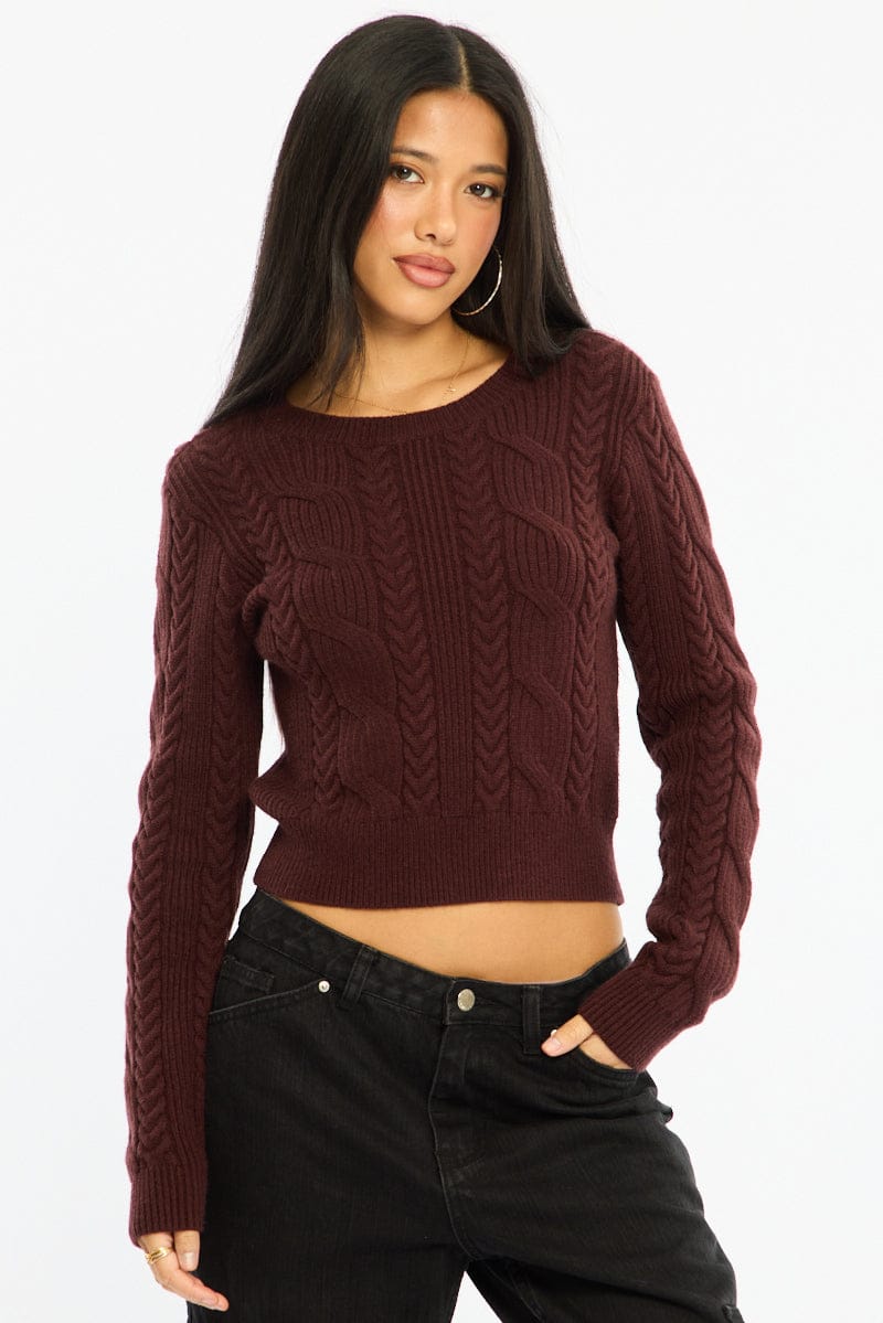 Brown Cable Knit Top Long Sleeve Crew Neck for Ally Fashion