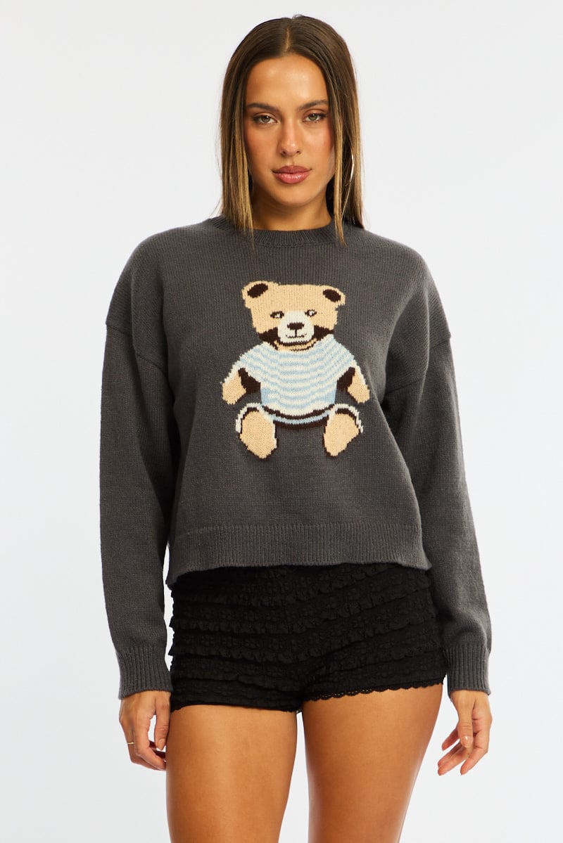 Grey Graphic Knit Jumper Teddy Bear Design for Ally Fashion