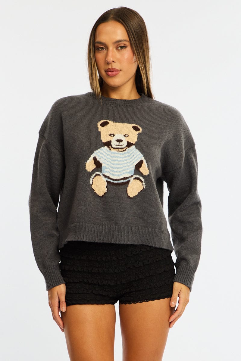 Grey Graphic Knit Jumper Teddy Bear Design for Ally Fashion