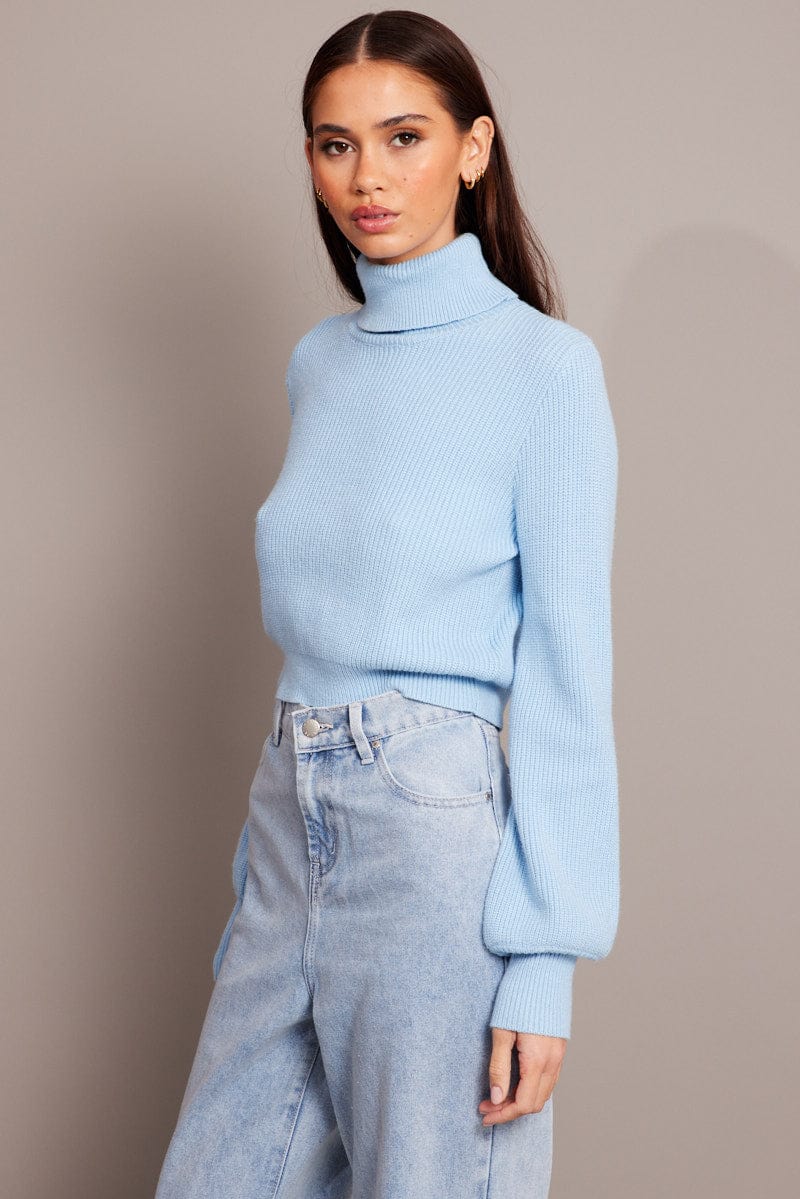 Blue Knit Top Long Sleeve High Neck Crop for Ally Fashion