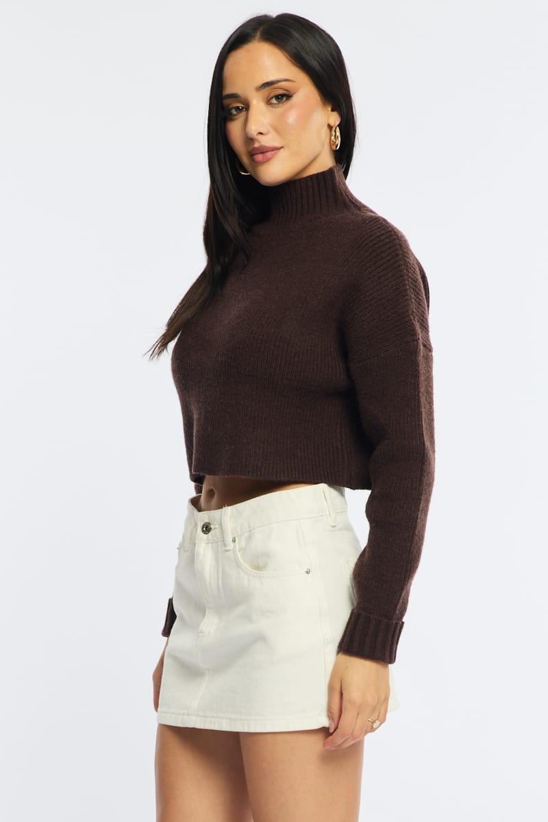 Brown Jumper Long Sleeve High Neck for Ally Fashion