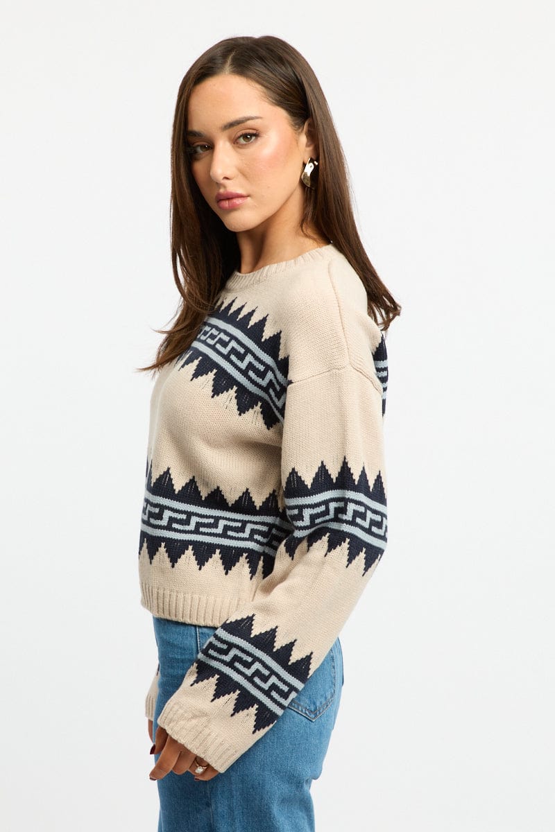 Beige Aztec Jumper Long Sleeve Crew Neck for Ally Fashion