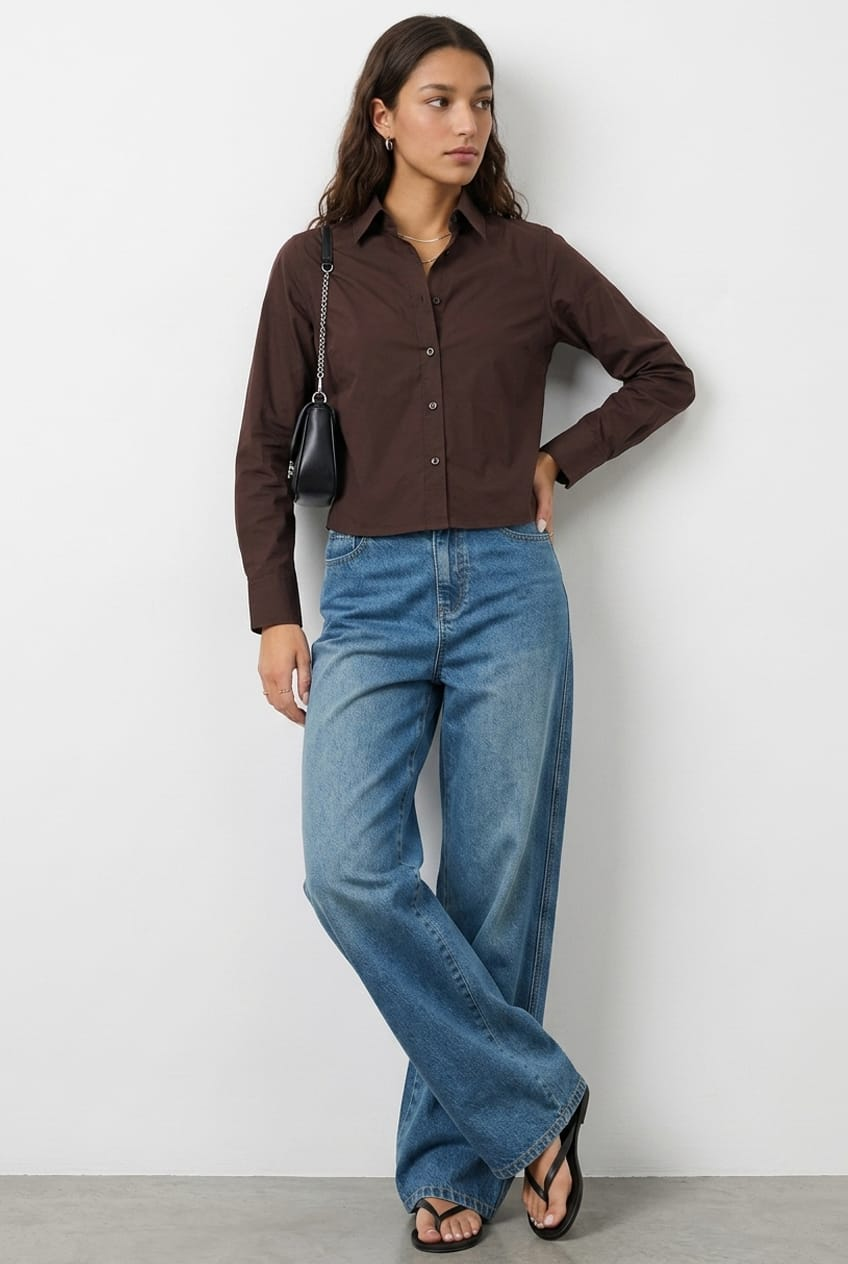 Brown Smart Fit Shirt Long Sleeves Collared for Ally Fashion