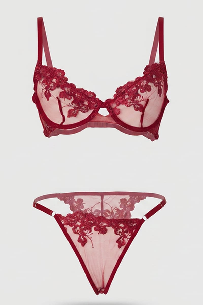 Red Embroidery Lingerie Set for Ally Fashion