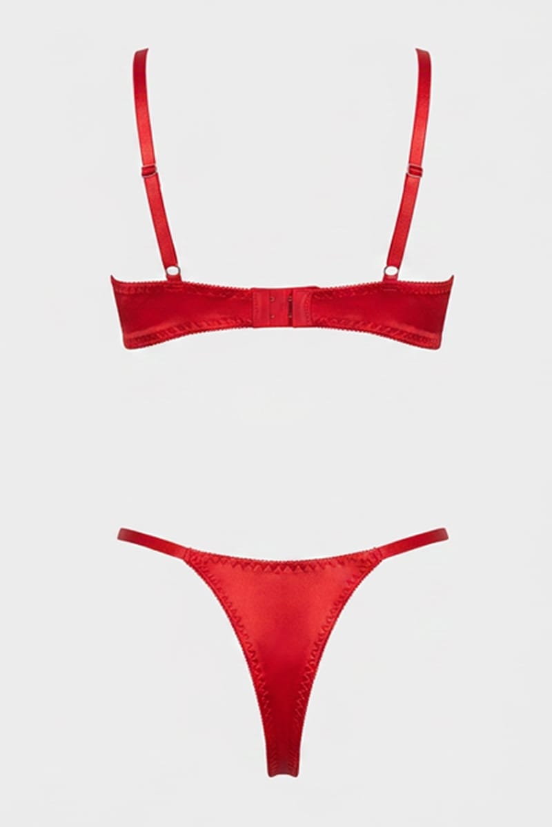 Red Rose Embroidery Lingerie Set for Ally Fashion