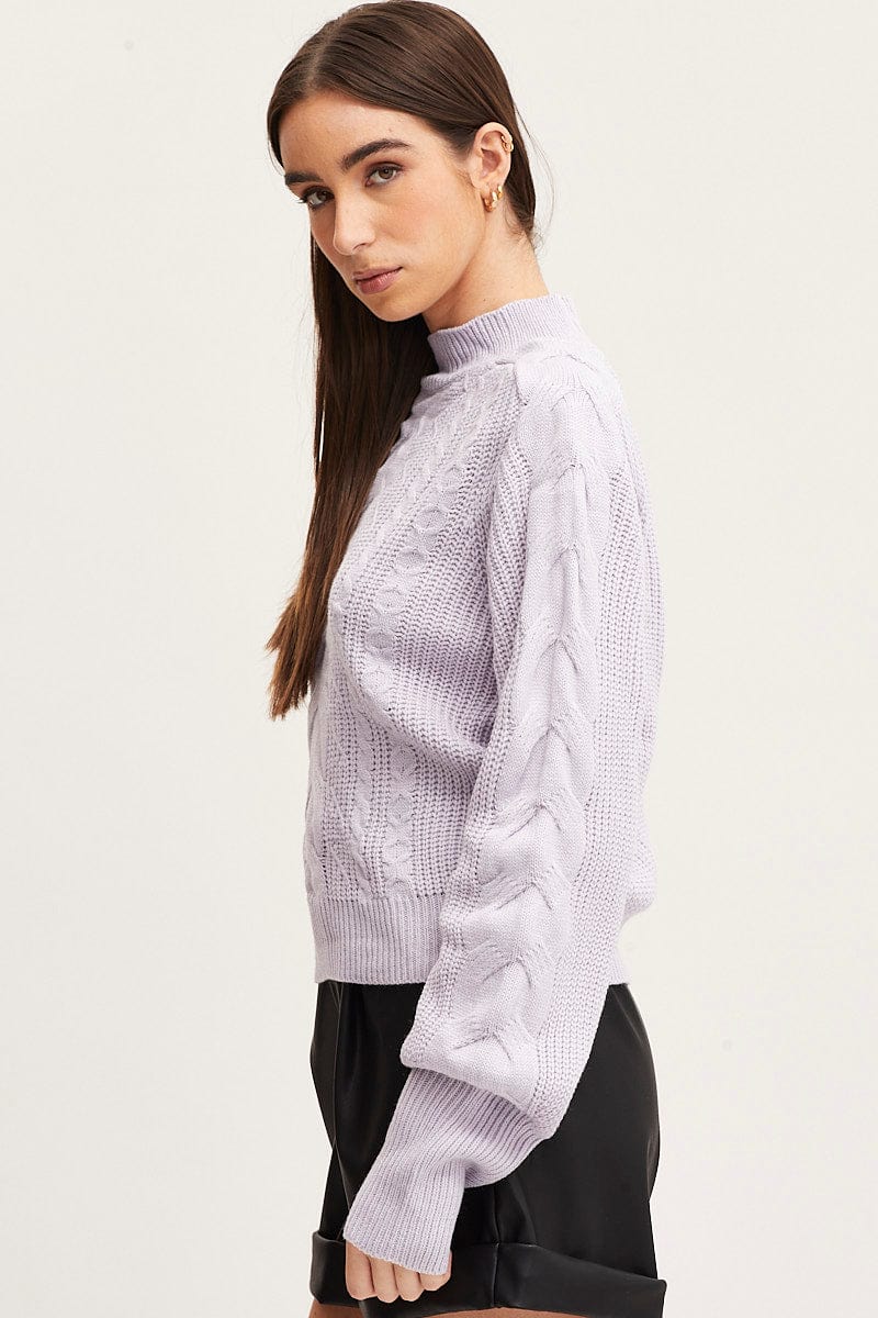 BASIC KNIT Purple Knit Top Long Sleeve Relaxed Turtleneck Cable for Women by Ally