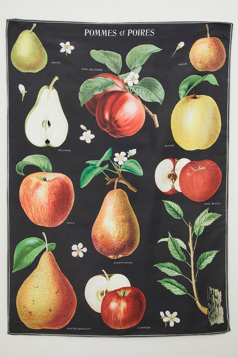 DECORATIONS Print Apple Vintage Wall Tapestry 70Cm By 100Cm for Women by Ally