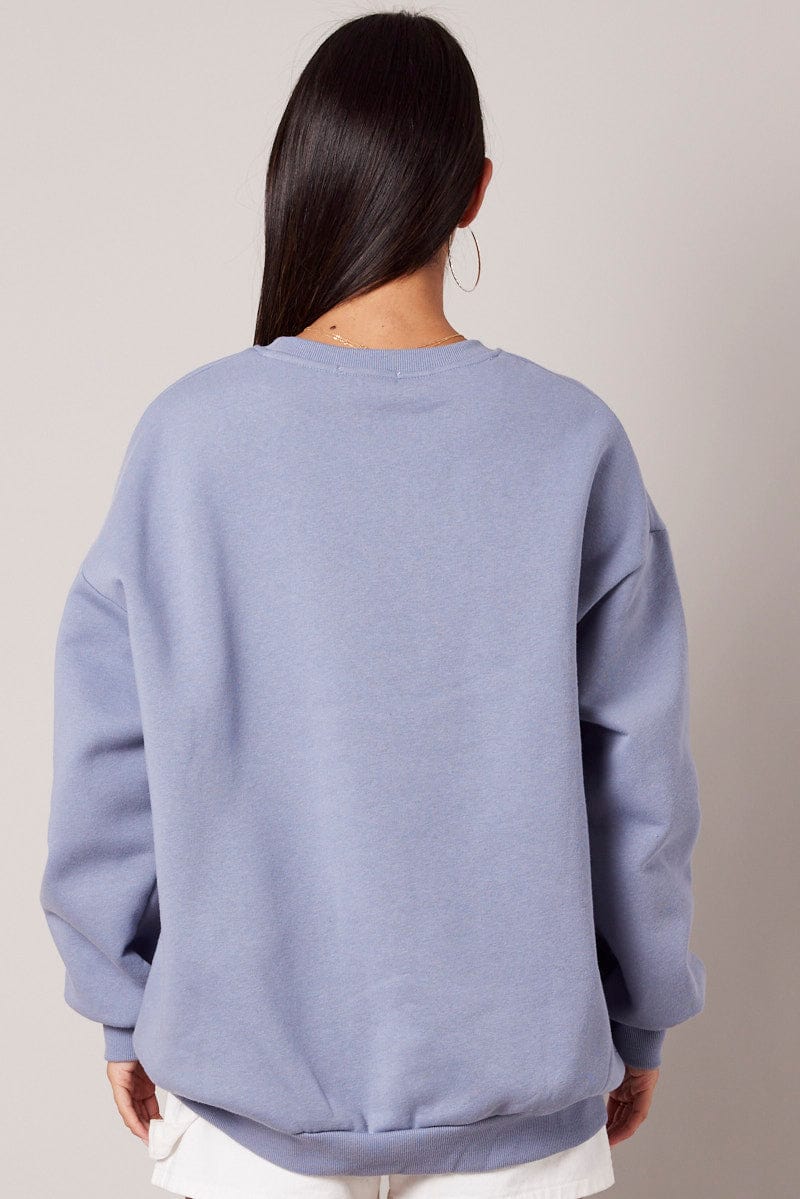 Blue Graphic Sweater Long Sleeve for Ally Fashion