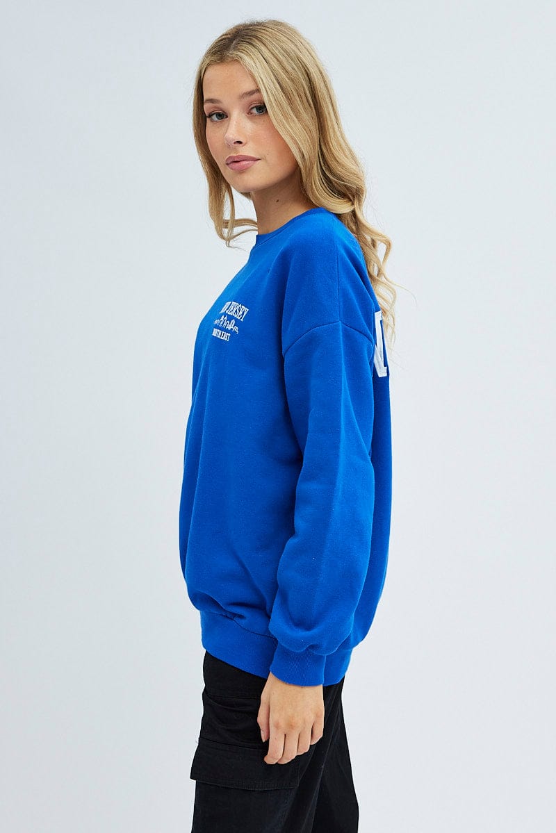 Blue Graphic Sweater Long Sleeve Slightly Stretch for Ally Fashion