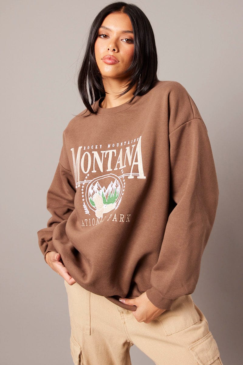Brown Graphic Sweater Long Sleeve for Ally Fashion