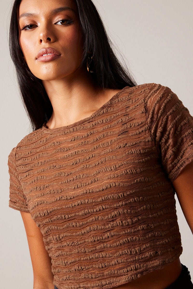 Brown Crop Top Short Sleeve Textured for Ally Fashion