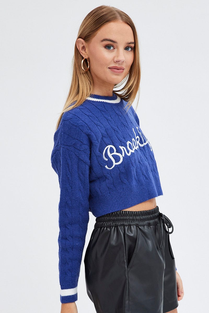 Blue Sweater Long sleeve Crew neck for Ally Fashion