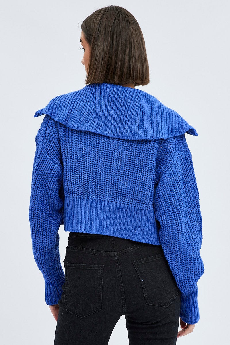 Blue Zip up Crop Cardigan for Ally Fashion