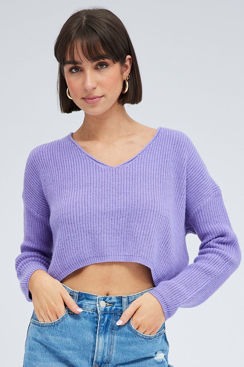 Purple Knit Jumper Long Sleeve V Neck for Ally Fashion