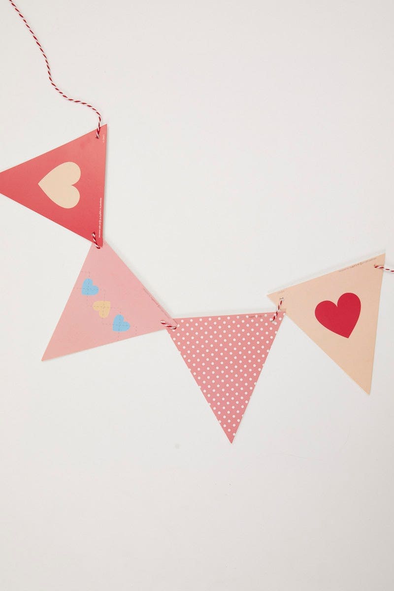 PARTY & DECORATIONS Multi Bunting Banner for Women by Ally