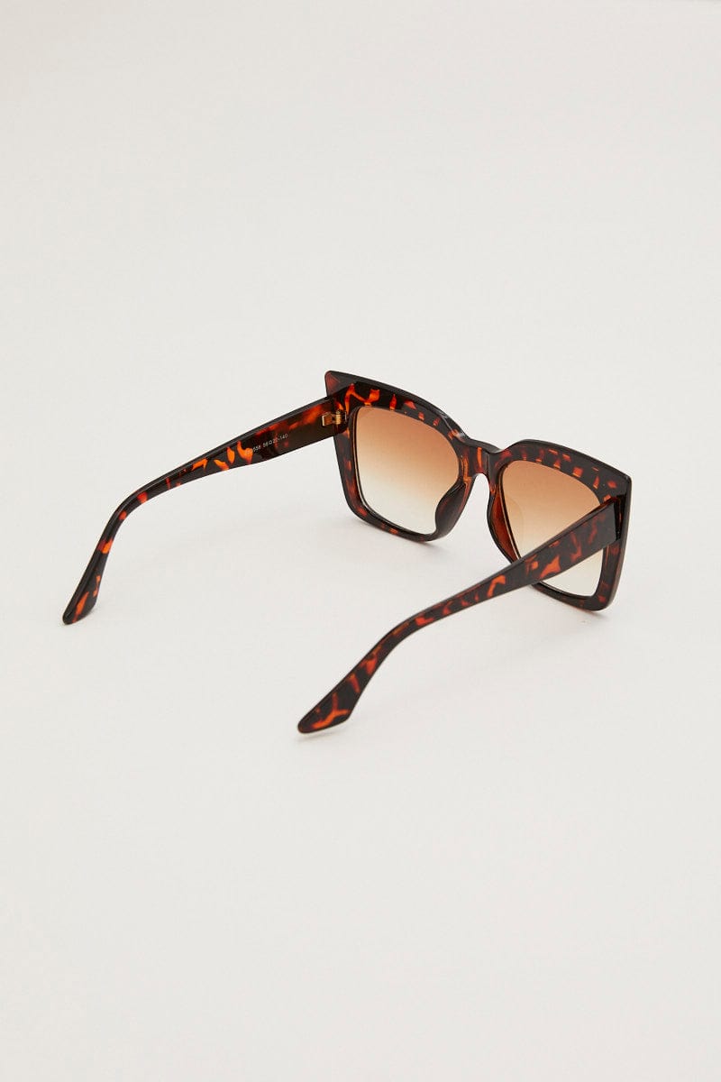 SUNGLASSES Print Square Cat-Eye Tinted Sunglasses for Women by Ally