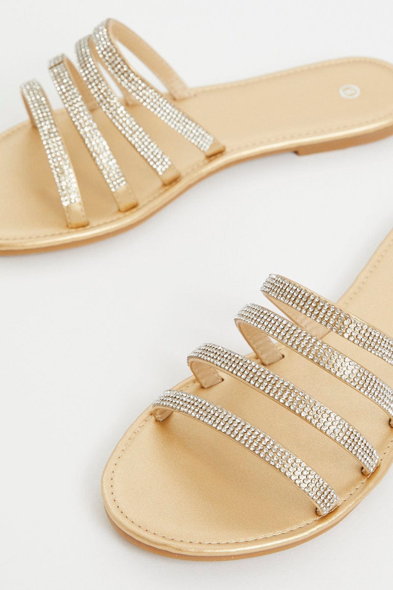 TRIAL ACCS Metallic Metallic Strappy Flat Slides for Women by Ally
